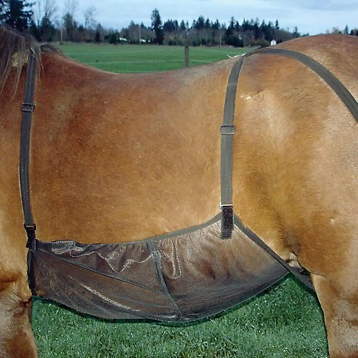 Adjustable Breathable Mesh Fly Sheet For Horses And Livestock
