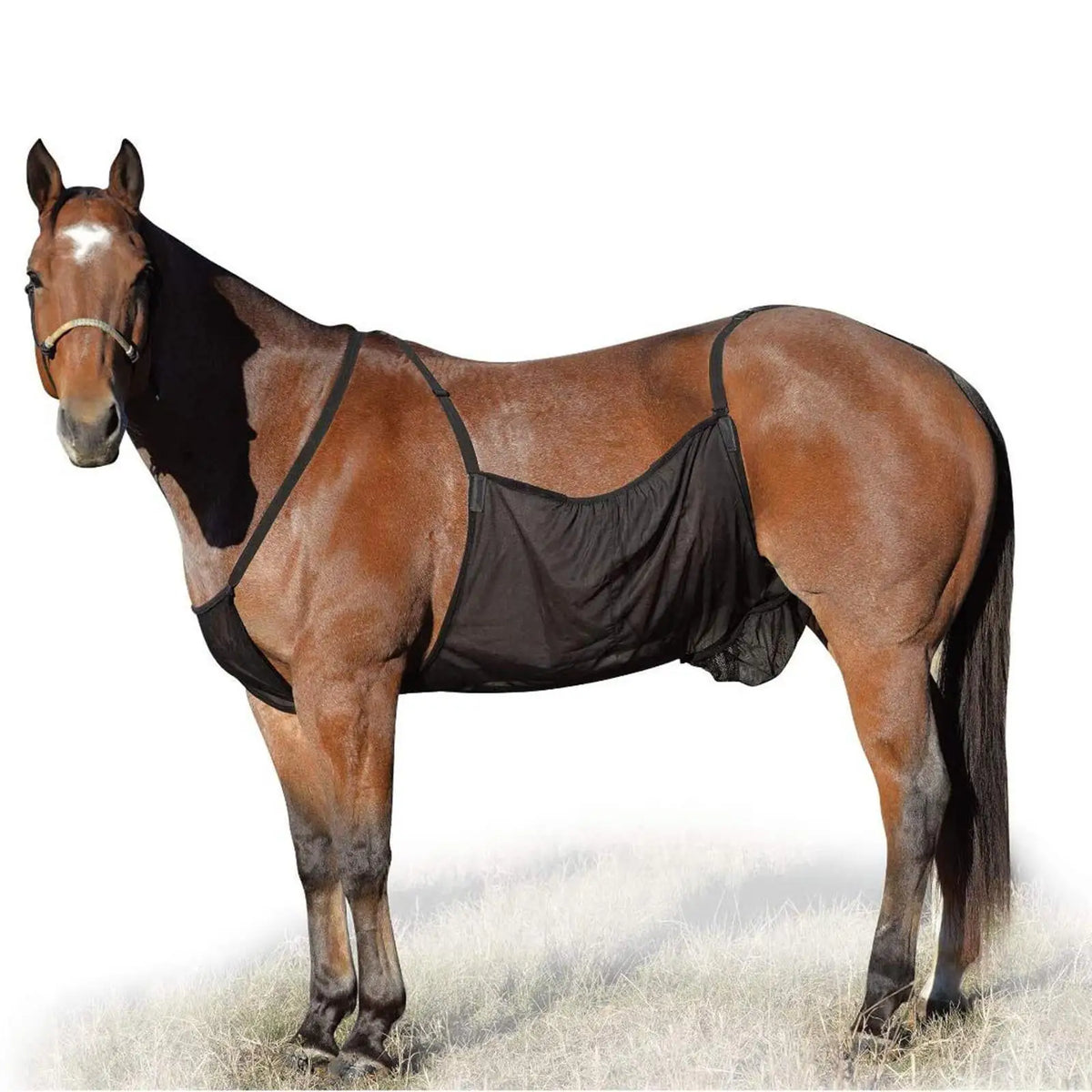 Adjustable Breathable Mesh Fly Sheet For Horses And Livestock